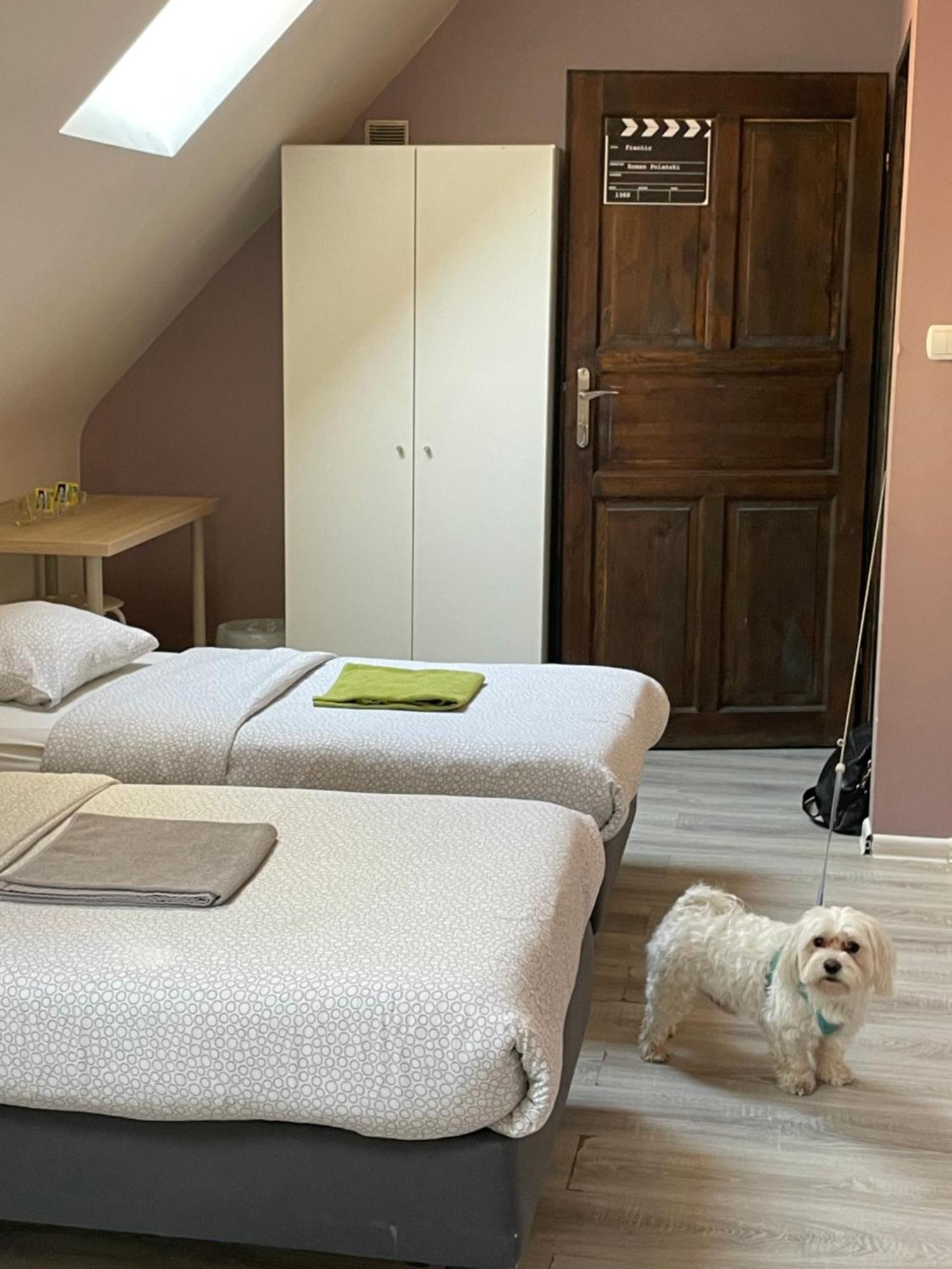 Kolysanka Private Rooms In Old Town 포즈난 외부 사진