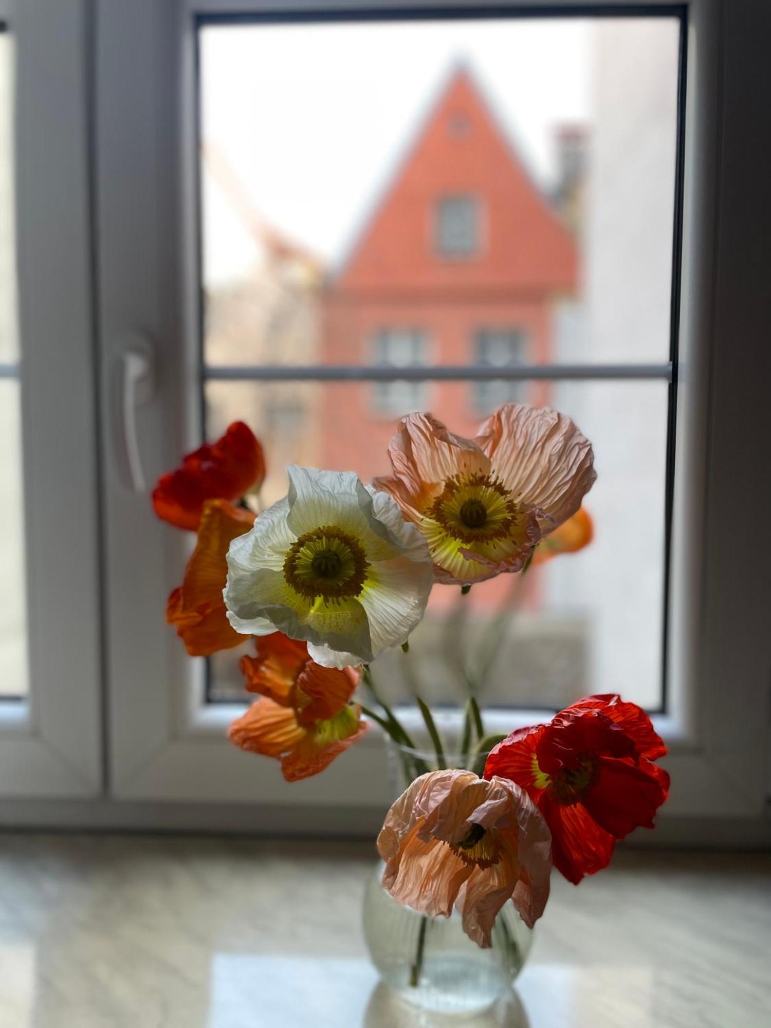 Kolysanka Private Rooms In Old Town 포즈난 외부 사진
